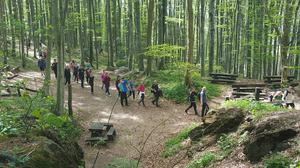 Mount Medvednica (Nature Park Medvednica)